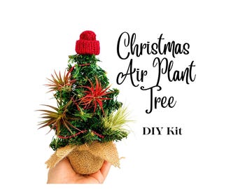 Air Plant Christmas Tree Craft kit, Air Plant Ornament, Desktop Christmas Tree, Christmas Tree with live plants, Live Plant Holiday Tree