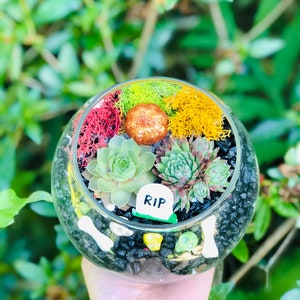 May include: A glass terrarium with black gravel, green and yellow moss, a small orange ball, and two succulents. A small white tombstone with the word "RIP" is in the center.