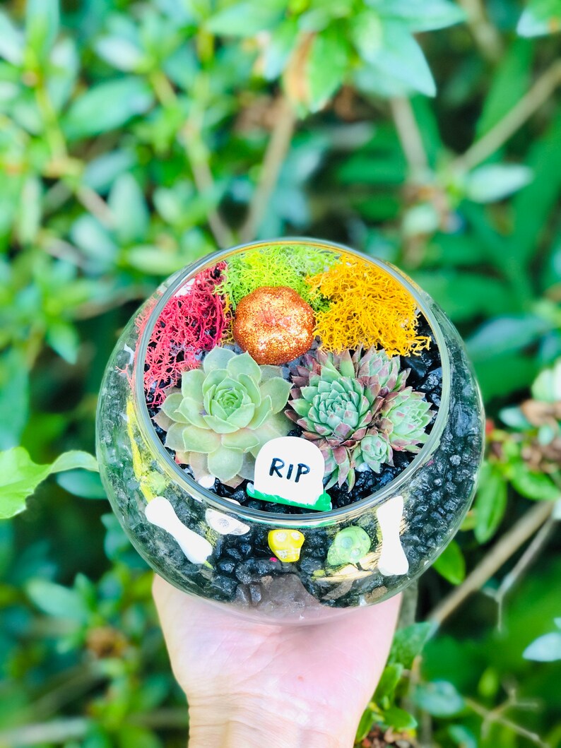 May include: A glass terrarium with black gravel, green and yellow moss, a small orange ball, and two succulents. A small white tombstone with the word "RIP" is in the center.