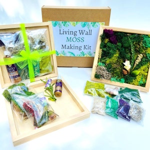 Moss Making Kit, DIY Moss Art Kit, Team Building Craft Kit, Gift for Crafter, Plant lover Gift, Moss Wall kit, Living Wall, Adult craft kit