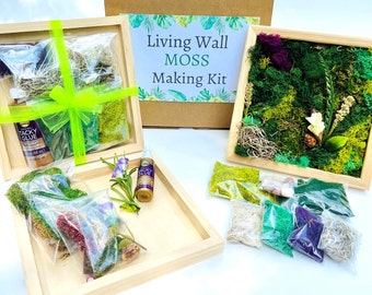 Moss Making Kit, DIY Moss Art Kit, Team Building Craft Kit, Gift for Crafter, Plant lover Gift, Moss Wall kit, Living Wall, Adult craft kit