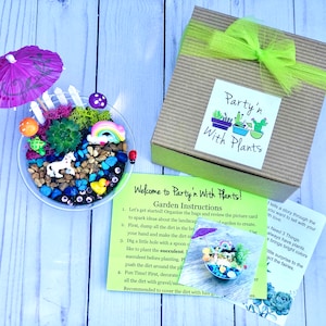 Pode incluir: Um kit de artesanato para criar um jardim em miniatura com uma tigela de vidro transparente, pedras coloridas, uma pequena suculenta, um arco-&iacute;ris, um unic&oacute;rnio, uma joaninha, um cogumelo, uma cerca, um pato e um guarda-chuva rosa. O kit inclui instru&ccedil;&otilde;es para criar um jardim em miniatura. A caixa &eacute; etiquetada com "Party'n With Plants".