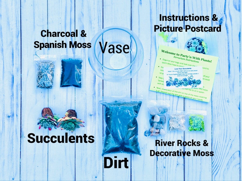 May include: A terrarium kit containing a clear glass vase, two succulent plants, a bag of dirt, bags of charcoal and Spanish moss, and bags of river rocks and decorative moss. Includes a printed instruction card titled Welcome to Party'n With Plants.