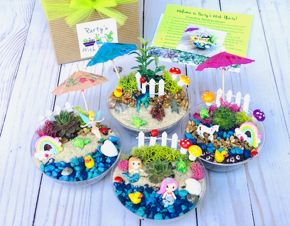 Mini Fairy Garden Party Kit, Mermaid Birthday Party Craft, Plant Party  Favors, Dinosaur Party Game, Unicorn Party Craft, Safari Party Craft 