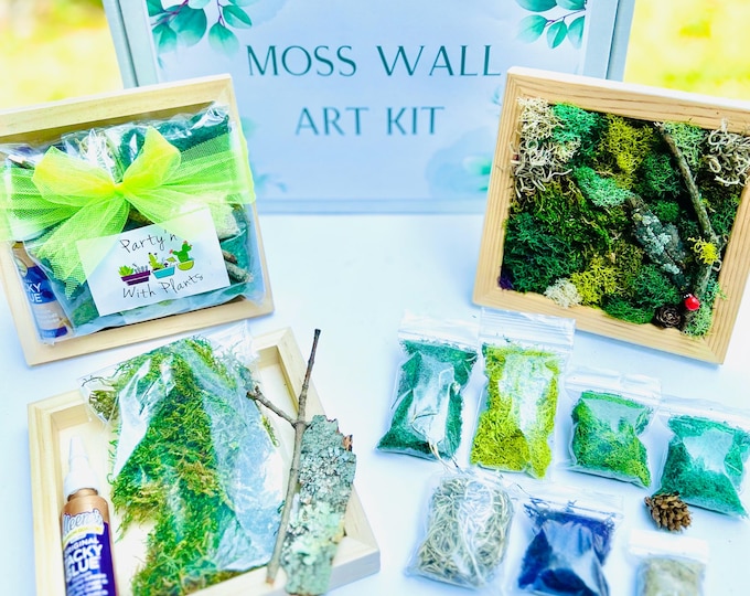 DIY Moss Wall Art Kit: Preserved Reindeer Moss, Natural Elements