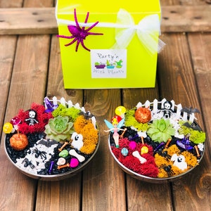 May include: Two Halloween-themed terrariums in silver bowls, featuring succulents, moss, and miniature decorations like skeletons, bats, and pumpkins. A lime green gift box with a purple spider and a white bow is in the background. The box has a label that says "Party'n With Plants."