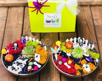 Kids Halloween Craft Kit, Halloween Fairy Garden Kit, Kids Halloween Gift Box, Halloween Succulent Planter, Fairy Garden Kit,