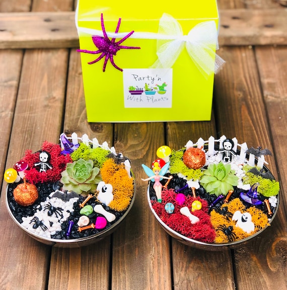 Kids Halloween Craft Kit, Halloween Fairy Garden Kit, Kids Halloween Gift Box, Halloween Succulent Planter, Fairy Garden Kit,