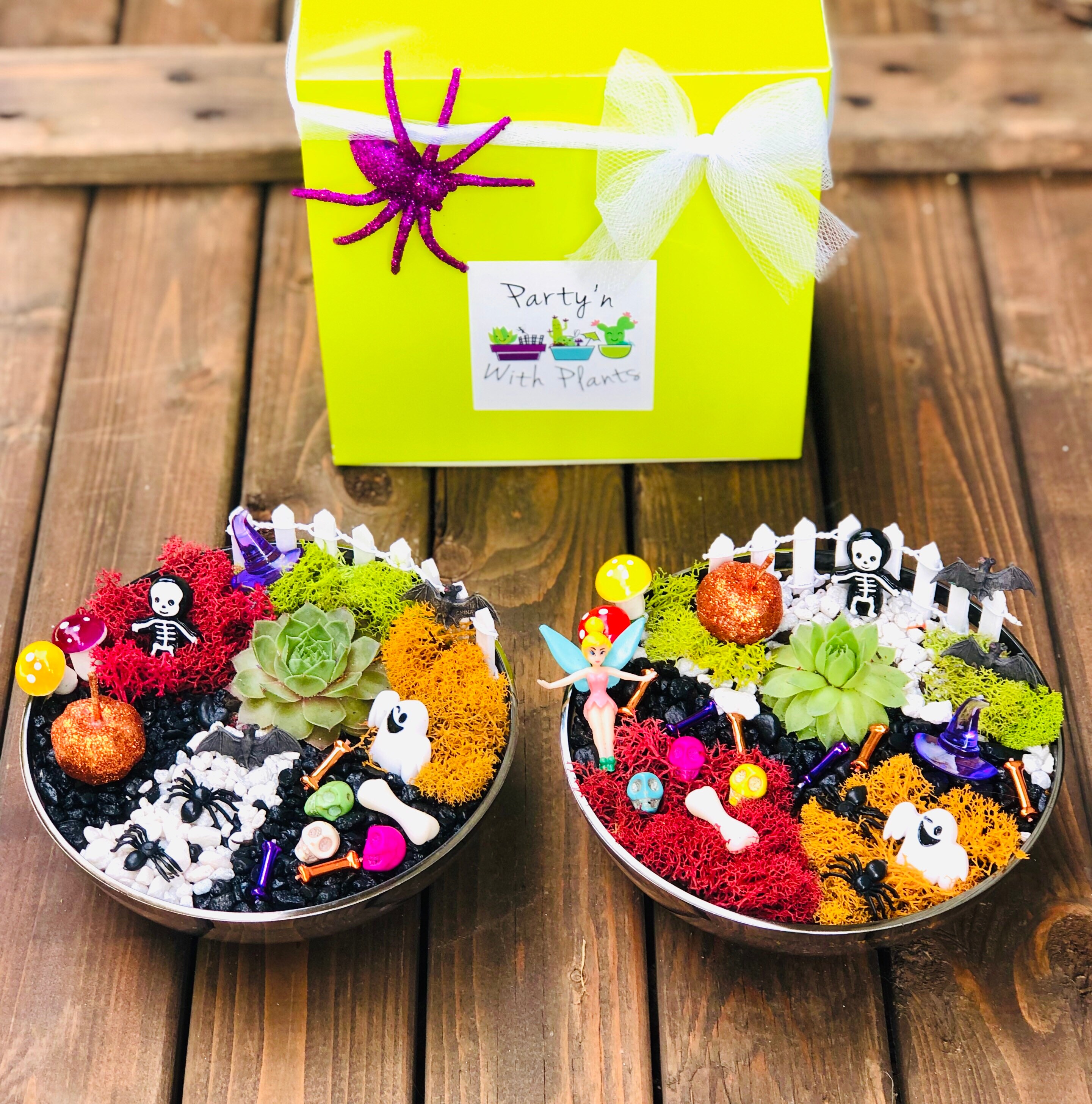 Halloween Fairy Garden Kit, Kids Halloween Craft kit