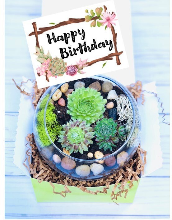Happy Birthday Gift set - Succulent gift box - Friend Gift Box - Cact…