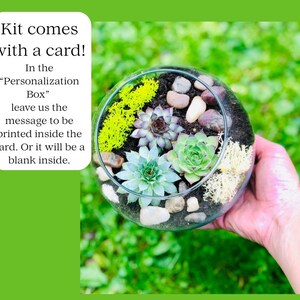 Happy Birthday Gift Box, Succulent Gift Box, Friend Gift Box, Plant Gift, Birthday for friend, Birthday care package, Plant Lover Birthday image 7