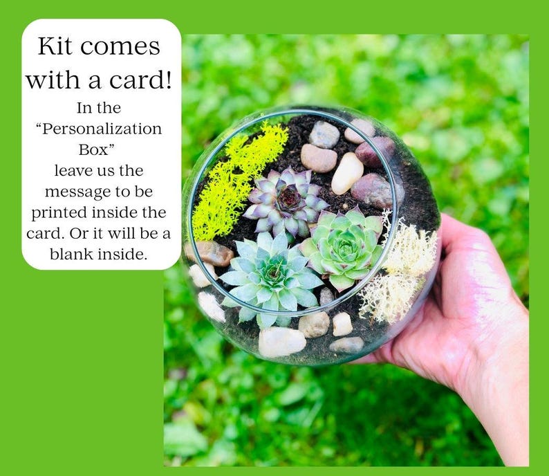 Happy Birthday Gift Box, Succulent Gift Box, Friend Gift Box, Plant Gift, Birthday for friend, Birthday care package, Plant Lover Birthday image 7