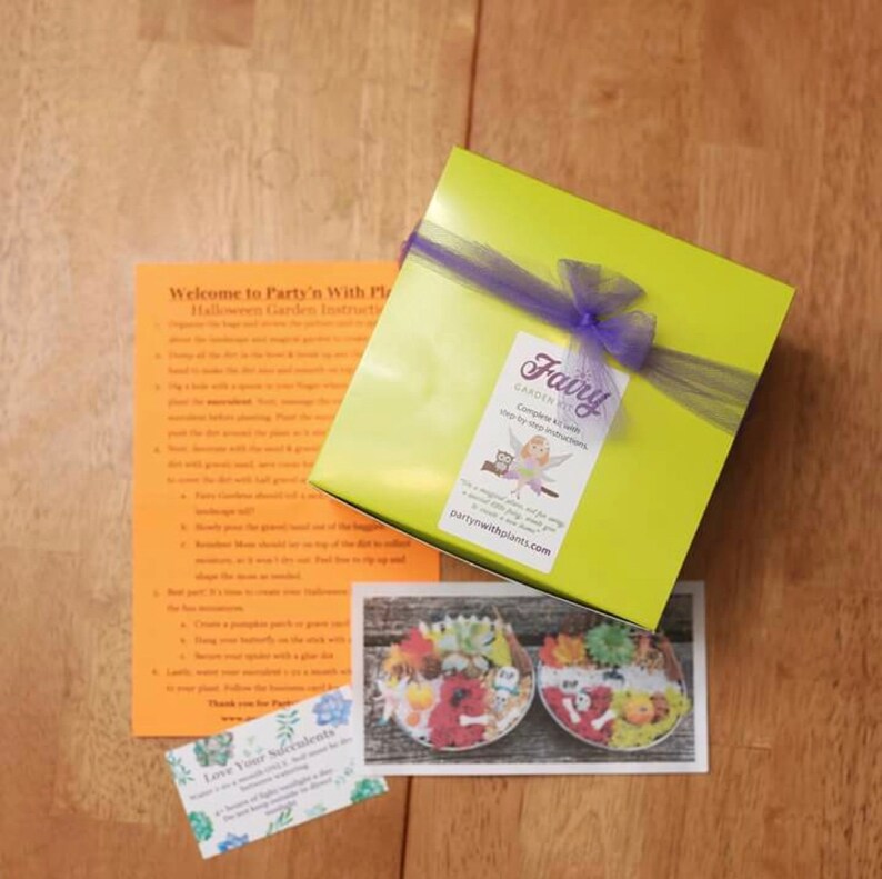 May include: A lime green gift box tied with a purple ribbon, labeled "Fairy Garden." Accompanying the box are instructions and a card that says "Love Your Succulents." A photo shows two miniature Halloween-themed succulent gardens.
