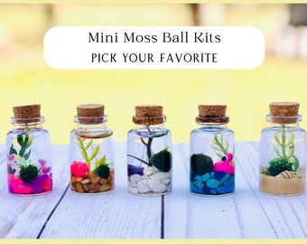 Kids craft kit, Mini Moss Ball Kits, Mini Aquascape Kit, Mini Moss Terrarium kit, Unicorn Craft, Craft for Girls, Craft for Boys, Java Moss