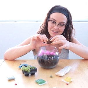 May include: A person is adding a small succulent to a clear glass terrarium. The terrarium is filled with soil and pink decorative stones. There are other succulents and supplies on the table.
