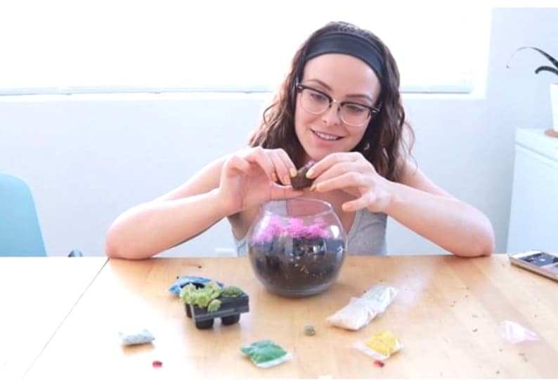 May include: A person is adding a small succulent to a clear glass terrarium. The terrarium is filled with soil and pink decorative stones. There are other succulents and supplies on the table.