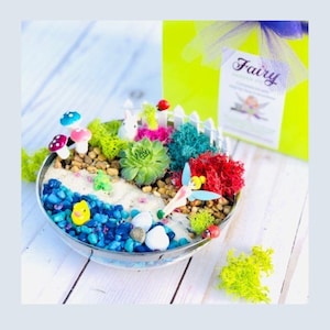 Fairy Garden Craft Kit: Kids Activity Box with Succulent image 1