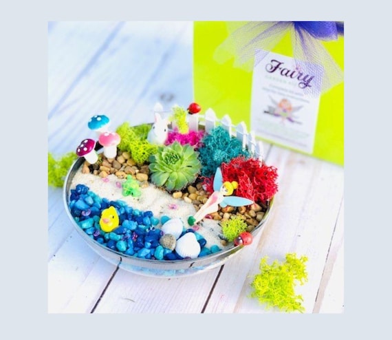 Fairy Garden Craft Kit: Kids Activity Box with Succulent