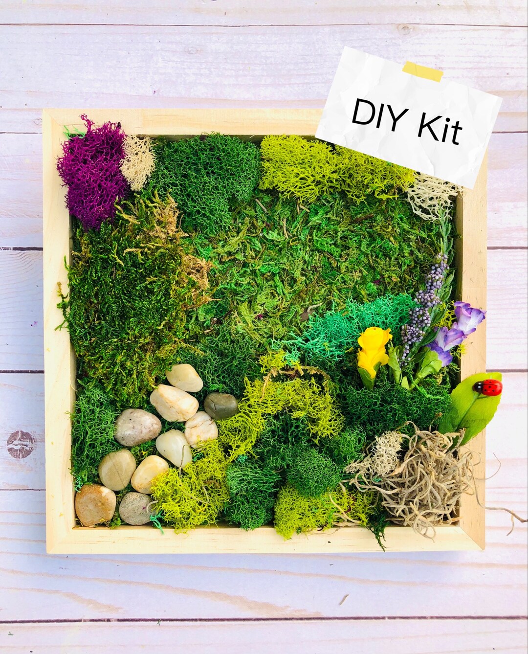 DIY Moss Art Kit, Team Building Craft Kit, Gift for Crafter, Plant