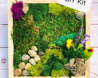 DIY Moss Art Kit, Team Building Craft Kit, Gift for Crafter, Plant lover Gift, Moss Wall kit, Craft gift set, Adult craft kit