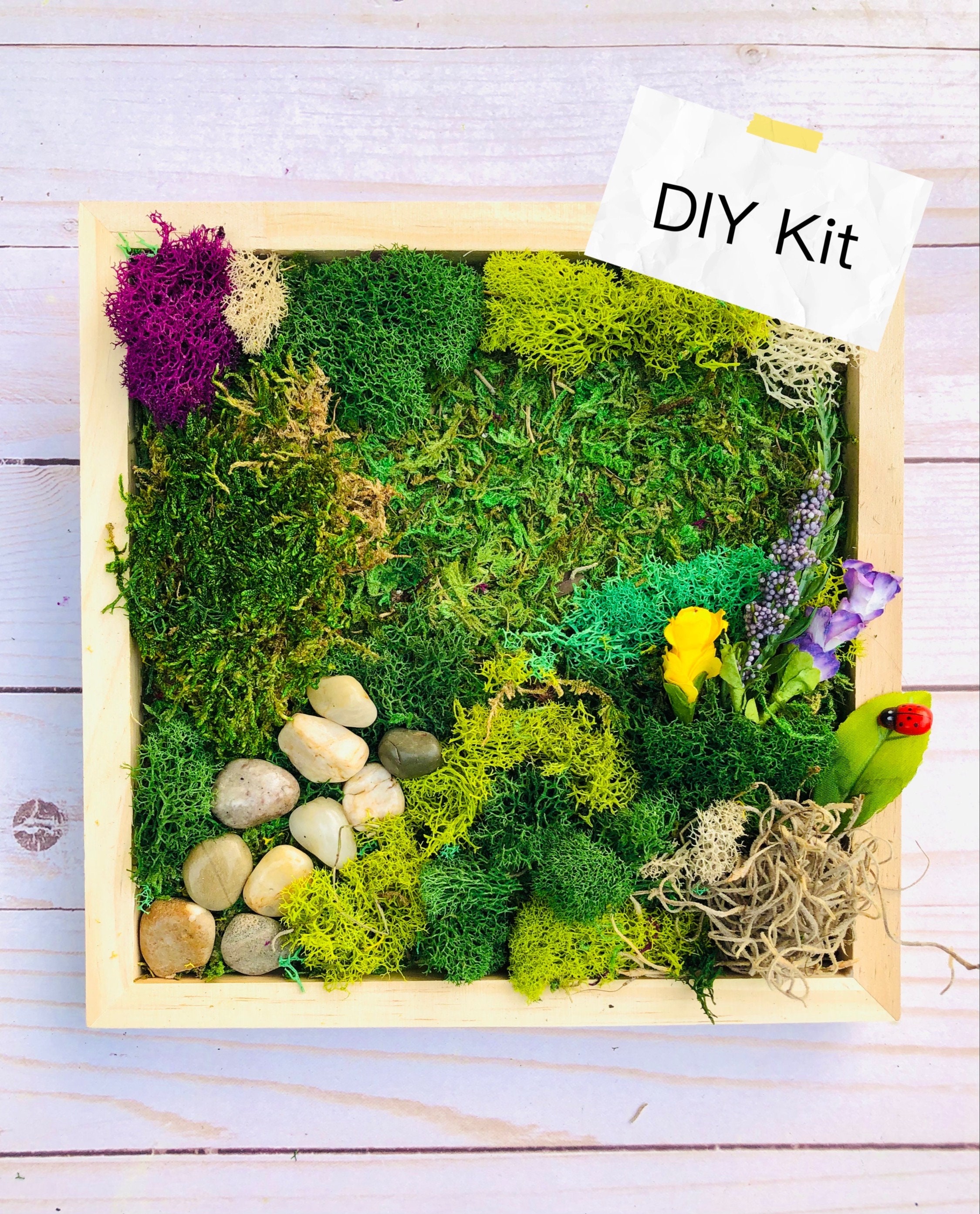 DIY Moss Wall Art Kit  13x13 Preserved Moss Frame – Outside In