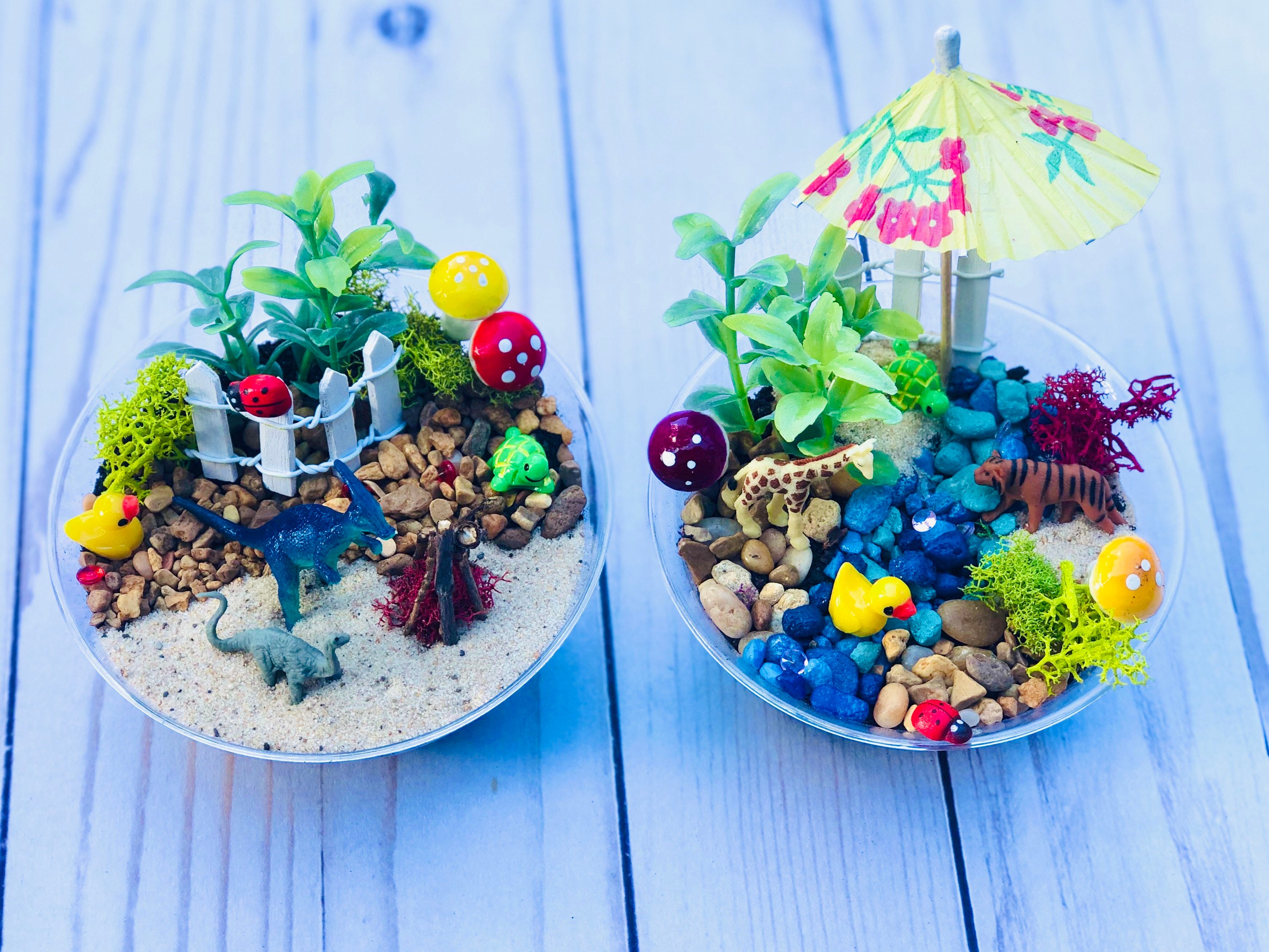 Firefairy Succulent Hanging Swirls, Plant Birthday Celling Decorations...