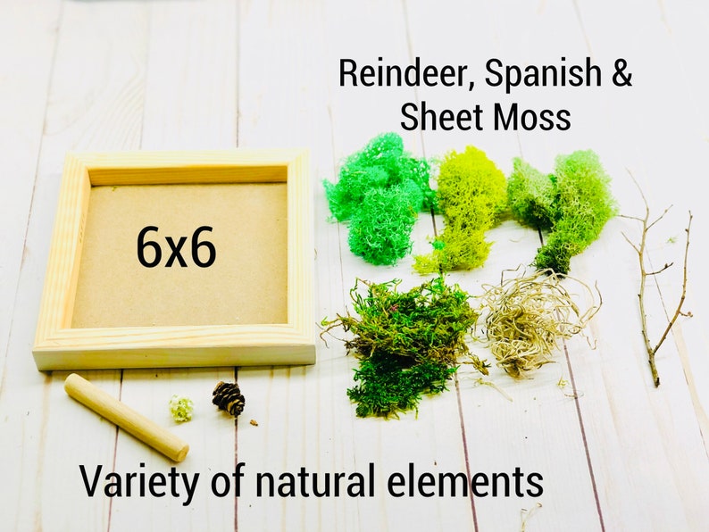 DIY Moss Art Kit Team Building Craft Kit Make Your Own Moss Etsy