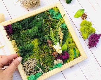 Craft kit for Adults, Moss Kit, DIY Craft, Moss Frame, Moss Wall Decor, Craft Gift Box, Craft for kids, Plant Gift, Plant kit, Living garden