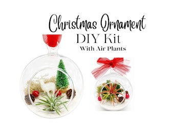 Live Plant Ornament, Christmas Air Plant Globe Kit: Christmas Live Plant, Christmas Tree Ornament with live plant, Ornament DIY kit