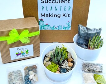 Bulk Succulent Gift Box, Wedding Gifts, Corporate Gifting, Bulk Mini Succulent Kits, Event Craft Activity Kits, Hybrid Craft Kits