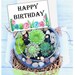Happy Birthday Gift Box - Succulent gift box - Friend Gift Box -Best Friend Gift - birthday gift for friend - succulent gift - send a gift 