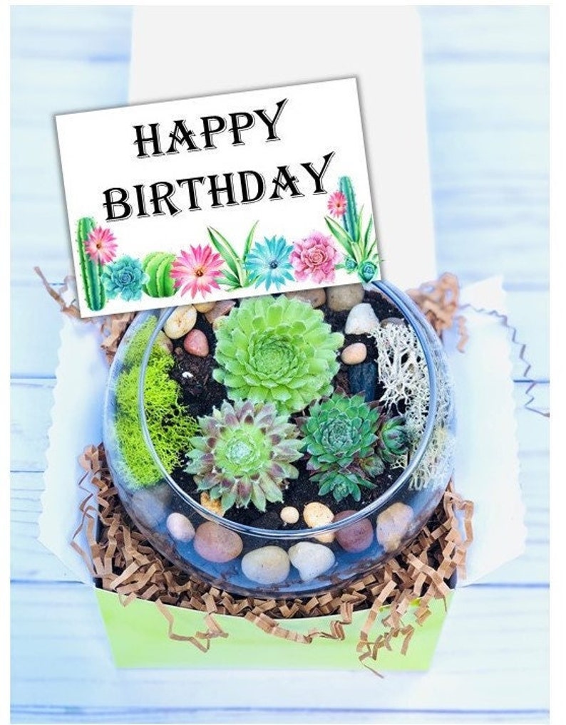 Happy Birthday Gift Box - Succulent gift box - Friend Gift Box -Best Friend Gift - birthday gift for friend - succulent gift - send a gift 