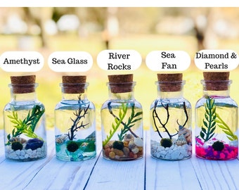 Java Moss Ball Terrarium DIY Craft Kit for Office Desk Accessories Indoor Plant Birthday Gift Ecosphere