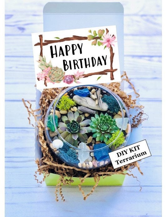 Happy Birthday Gift Box, Succulent gift box, Care Package, Friend Gif…