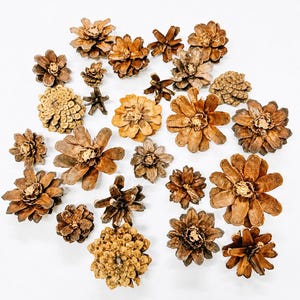 Pinecones cut into flowers, Precut Pinecones, Wood flowers