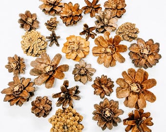 Pinecones cut into flowers, Precut Pinecones, Wood flowers