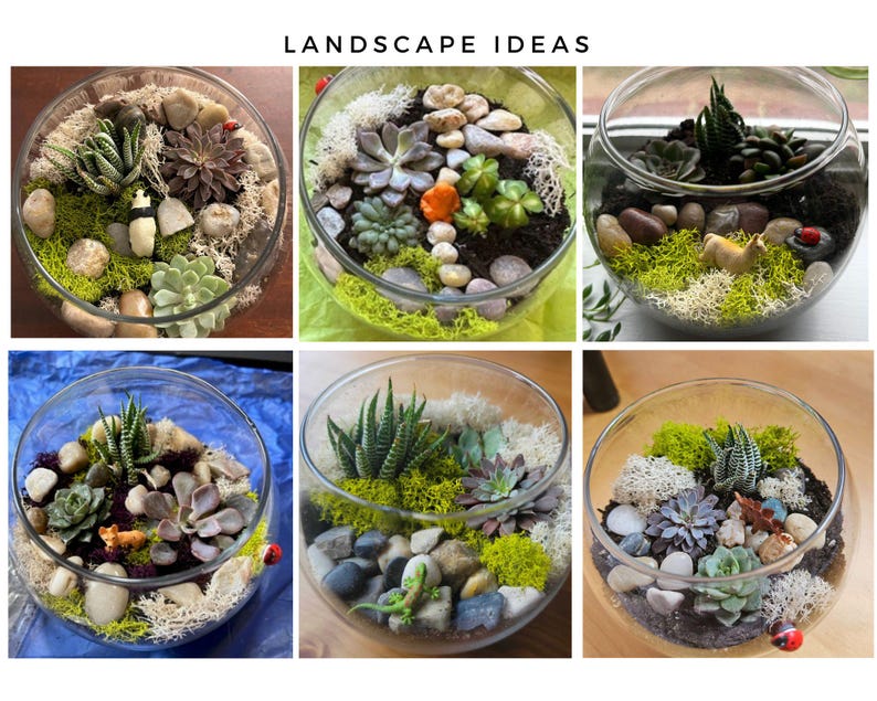 May include: A collage of six glass bowl terrariums labeled LANDSCAPE IDEAS, each containing various succulents, green and white moss, smooth river stones, and small decorative animal figurines including a panda, llama, and ladybug.