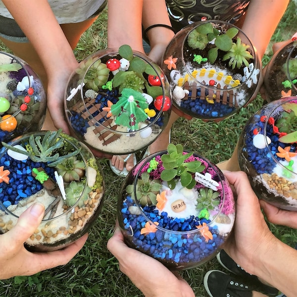 DIY Fairy Garden Kit: Succulent Terrarium with Miniatures, Indoor Fairy Garden Kit, Fairy Garden Party supplies, Plant Party, Fairy Party