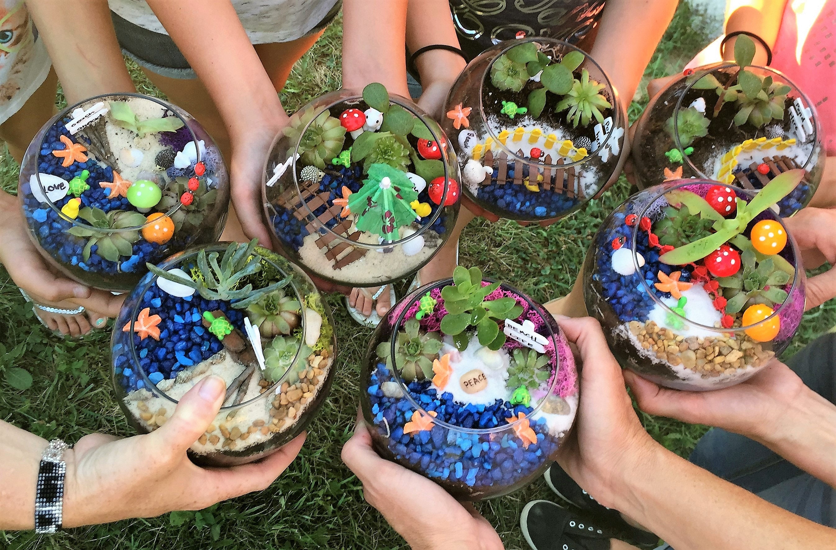 Terrarium Party Kit (15 people) - Small Bubble Bowl Terrarium