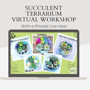 May include: A laptop screen displaying six different succulent terrarium designs. The designs are labeled "Rainbow", "Sea Glass & Driftwood", "Diffuser w/ Lavender Oil", "Beach", "Zen", and "Party with Plants".