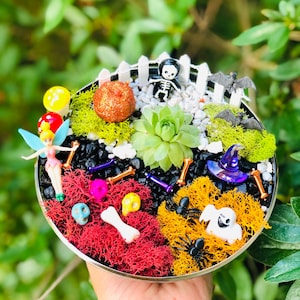 May include: A Halloween-themed terrarium in a round metal container. It features a succulent plant, decorative moss, miniature Halloween figures like a skeleton, bats, and a witch's hat, and colorful skulls and bones.