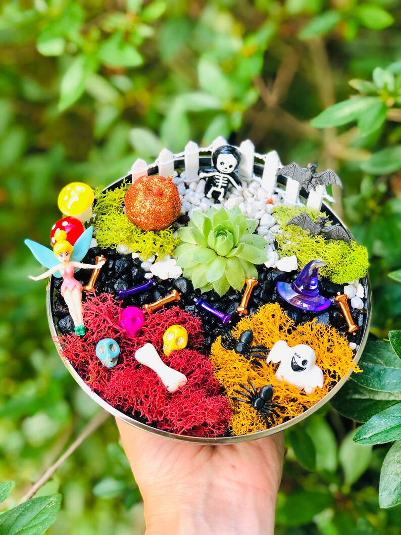 May include: A Halloween-themed terrarium in a round metal container. It features a succulent plant, decorative moss, miniature Halloween figures like a skeleton, bats, and a witch's hat, and colorful skulls and bones.