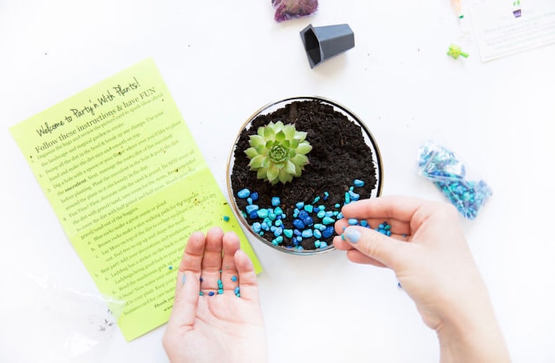 May include: A person is adding blue and turquoise decorative stones to a glass terrarium. The terrarium contains a succulent plant and brown soil. A set of instructions for planting the terrarium is visible in the background.