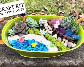 Fairy Garden Kit, Large Fairy Garden with plants, Gnome Garden Kit, Craft Kit, Girls Birthday Gift Ideas
