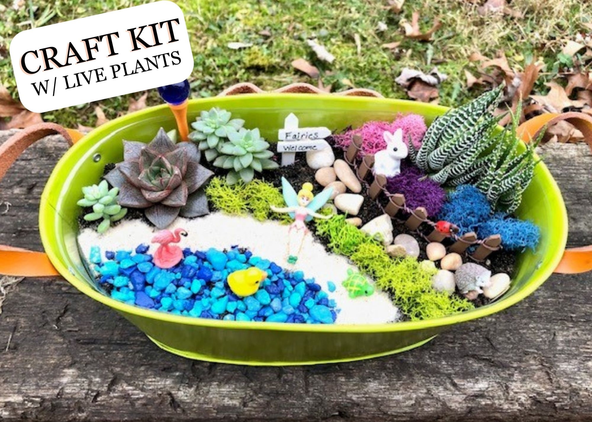 Mermaid Fairy Garden Kit, Mermaid Succulent Planter, Mermaid Craft