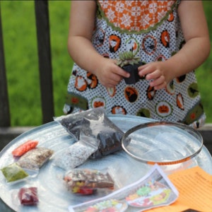 May include: A child holding a small potted succulent plant. A galvanized metal tray holds small bags of soil, pebbles, and other gardening supplies. A magnifying glass and a printed sheet are also on the tray. The child is wearing a white dress with an orange and green Halloween pattern.