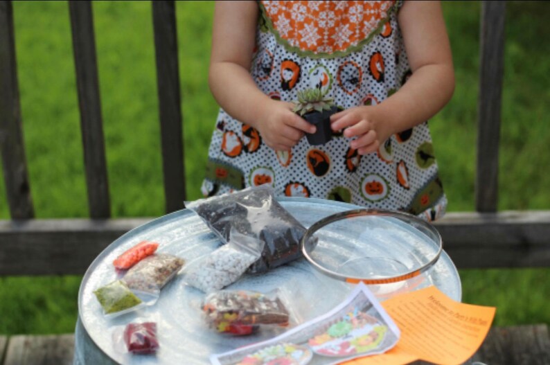 May include: A child holding a small potted succulent plant. A galvanized metal tray holds small bags of soil, pebbles, and other gardening supplies. A magnifying glass and a printed sheet are also on the tray. The child is wearing a white dress with an orange and green Halloween pattern.
