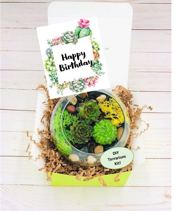 Happy Birthday Gift Box - Succulent gift box - Friend Gift Box -Best …