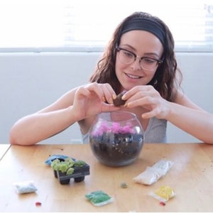 May include: A clear glass bowl terrarium containing dark soil and bright pink decorative moss. Surrounding the bowl are small plastic bags filled with various colored gravel, a black plastic tray with small green succulents, and loose soil.
