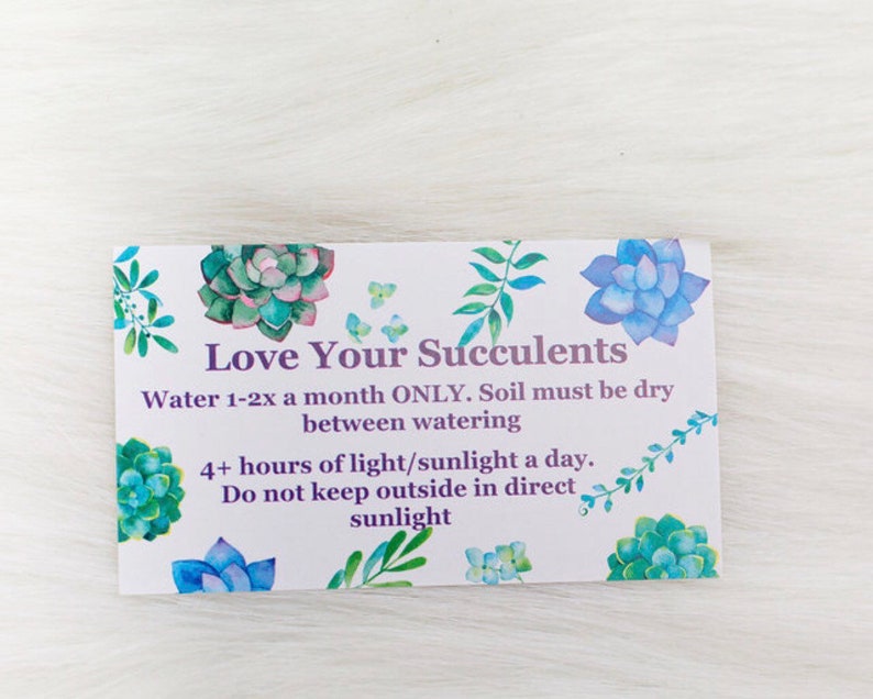 May include: White card with green and blue watercolor succulents. The card has text that reads "Love Your Succulents" and instructions for watering and sunlight.